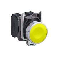 Flush 22mm Push Button